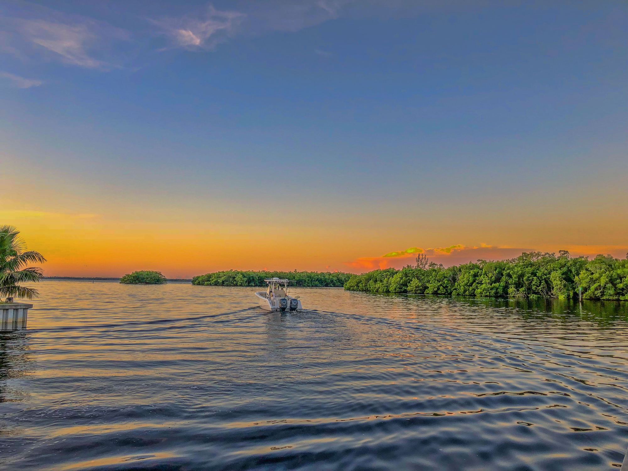 A center-console boat moving across calm water at sunset, with mangrove islands ahead and a palm at the left edge.